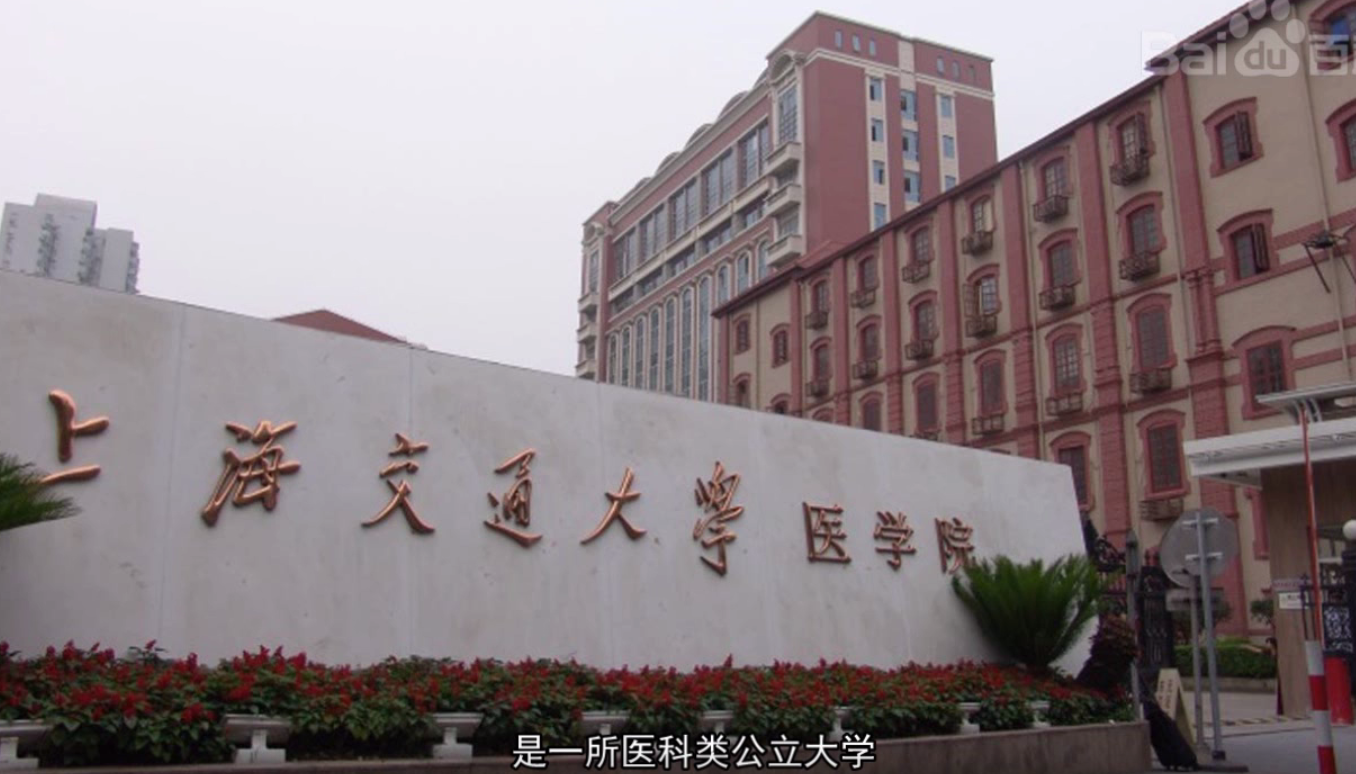 醫(yī)用觀片燈 醫(yī)用觀片燈