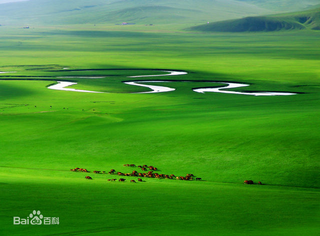 呼倫貝爾大草原 呼倫貝爾大草原