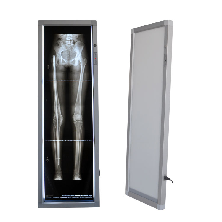 豎立式觀片燈 豎立式觀片燈